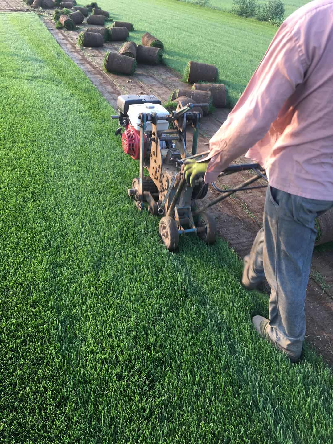 起草中