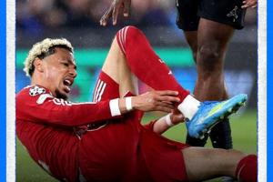 伤缺9个月！利物浦官方：埃基蒂克跟腱断裂，赛季报销无缘世界杯